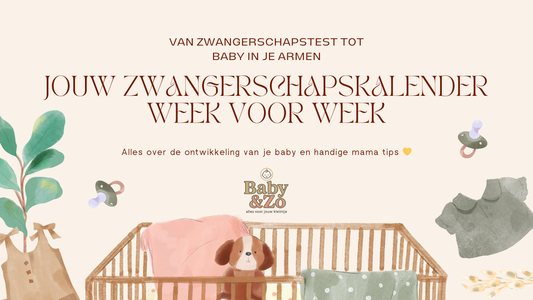 zwangerschapskalender met babyontwikkeling per week en tips voor aanstaande moeders van week 1 tot 40.